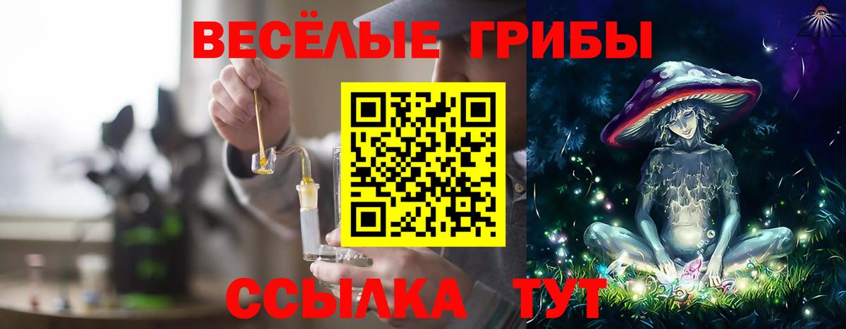 Котлас  Псилоцибиновые грибы Psilocybine cubensis  Вход с VPN 